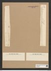 Diatomeae indet. Zeichnungen Sammlung Grunow Nr. 6079 (NHMW-BOT-W0374598)